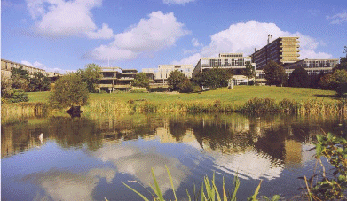 A view of the Unversity of Bath campus, taken from ground level Photograph taken and copyright University of Bath photographic unit