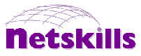 Netskills logo
