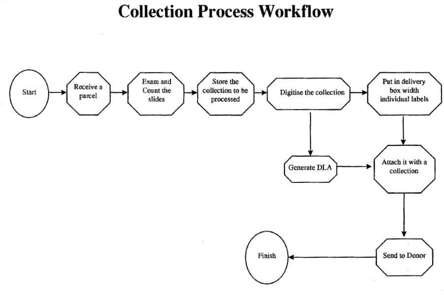 Payment Collection Process Flow Chart