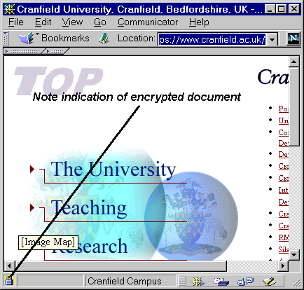 Accessing a Web Site Which Provides a Certificate