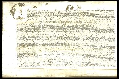 Original document