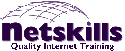 Netskills logo