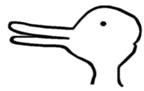 Figure 1: An image which can be interpretted as a duck or a rabbit